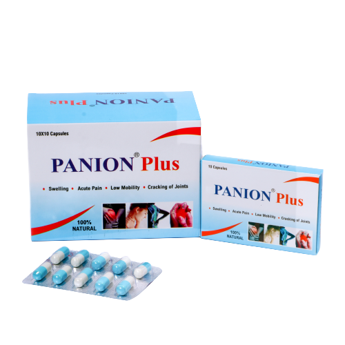 Panion Plus Capsules