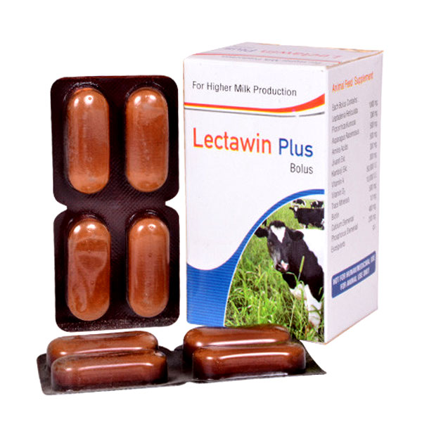 LECTAWIN PLUS BOLUS