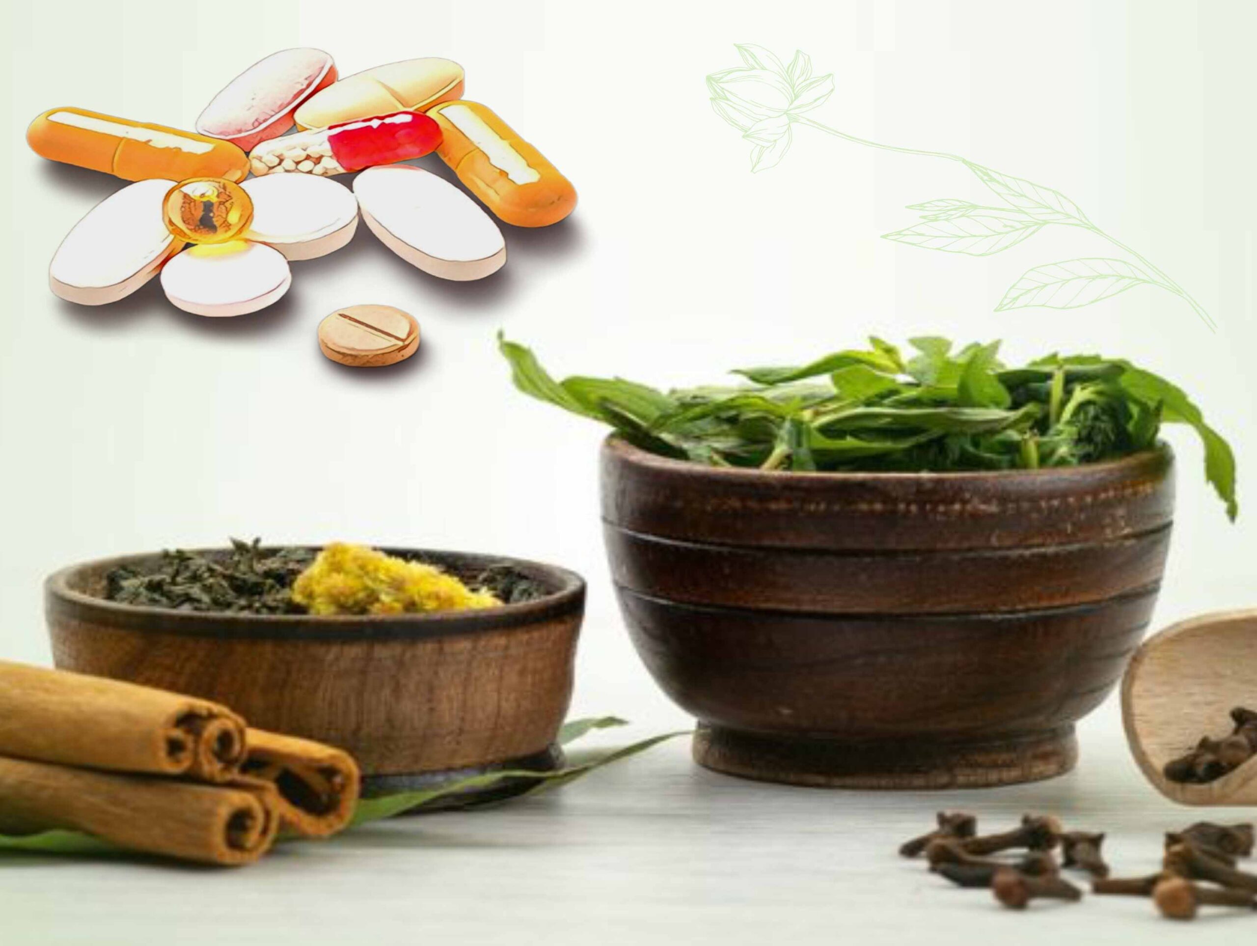 Ayurvedic & Health Care