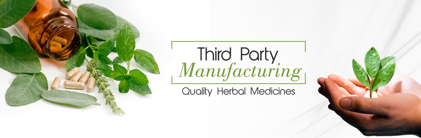 third party ayurveda manufacturing