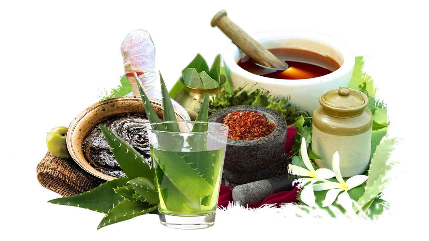 Ayurvedic Products Franchise